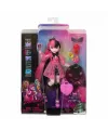 HPD53 Monster High Ana Karakter Bebekler