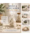 İbico İ12-252 ( Poşetli ) ( Renkli Mix ) Midye & Deniz Kabuk Vazo Taşı*50