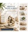 İbico İ12-252 ( Poşetli ) ( Renkli Mix ) Midye & Deniz Kabuk Vazo Taşı*50