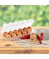 12li Şeffaf Kapaklı Kilitli Yumurta Saklama Kabı Kutusu Aparatı