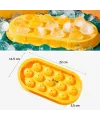 13 Bölmeli Kristal Buz Yapma Kalıbı