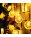 2m 10 Led Pilli Limon Işık