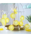 2m 10 Led Pilli Limon Işık