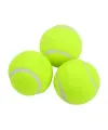 3lü Köpek Oyun Tenis Topu