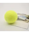 3lü Köpek Oyun Tenis Topu