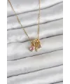 316L Çelik Gold Pembe Zirkon Taşlı Charmlı Kadın Kolye TJ-BKO11011