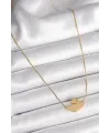 316L Çelik Gold Renk Zincir Kuğu Model Kadın Kolye TJ-BKO9873