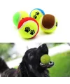 3lü Renkli Desenli Tenis Topu Kedi Köpek Oyuncağı