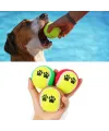 3lü Renkli Desenli Tenis Topu Kedi Köpek Oyuncağı
