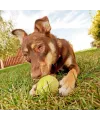 3lü Renkli Desenli Tenis Topu Kedi Köpek Oyuncağı