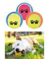 3lü Renkli Desenli Tenis Topu Kedi Köpek Oyuncağı