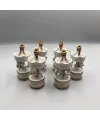 6lı Ufak Atlı Karınca Gold-Beyaz