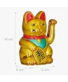 Altın Rengi Şanslı Kedi