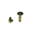 ieg™ Cilt Menü, Katalog, Kartela Vidası, 13mm - Sarı, 1 Adet