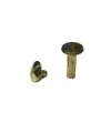 Cilt Menü, Katalog, Kartela Vidası, 13mm - Sarı, 1 Adet