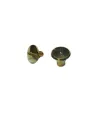 ieg™ Cilt Menü, Katalog, Kartela Vidası, 6 mm - Sarı, 1 Adet