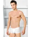 Erkek Modal Klasik Kısa Paça Boxer