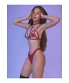 Fantezi Kırmızı Harness Sütyen Kumaş Külot Takımı