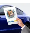 Fulcar Sarman Araç Stickerı