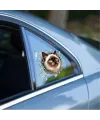 Fulcar Siamesse Araç Stickerı
