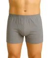 Gri MI Emay 6810 Arjantin Erkek Boxer