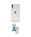 ieg™ iPhone 11 Kılıf Kutup Klasik Serisi - Şeffaf Royal Nano Ekran Koruyucu