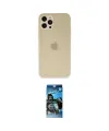 ieg™ iPhone 12 Pro Max Kılıf Atlas Minimal Prime - Siyah 34D Izgaralı Cam