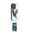 ieg™ iPhone 12 Pro Max Kılıf Odak Klasik Serisi - Siyah 34D Izgaralı Cam