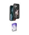 ieg™ iPhone 16 Kılıf Nova Form Koleksiyonu - Siyah Bilvis 5in1 3D Magic Cam Ekran Koruyucu