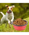 Katlanabilir Kedi Köpek Mama ve Su Kabı Köpek Oyuncağı