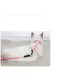 Kedi Gezdirme Göğüs Tasması
