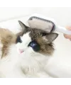 Kedi Köpek Tüy Toplama Tarağı