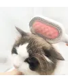 Kedi Köpek Tüy Toplama Tarağı