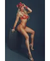 Kırmızı Maske, Tasma ve Kelepçe Harness Deri Set