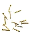 Klips, Menteşe, Ayak, Ağaç, Sunta Vidası 2,2x13 mm - Sarı 100 Adet