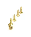 ieg™ Klips, Menteşe, Ayak, Ysb Sac Vidası - 2,9x9,5mm Sarı, 100 Adet