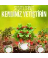 Konserve Bahçem Evde Konservede Fındık Turp Yetiştirme Kiti