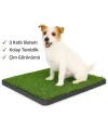Köpek Tuvalet Eğitim Seti