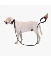 Köpekler İçin Reflektörlü Halat Gezdirme Tasması