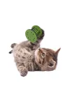 Mini Silindir Eğlenceli Renkli Sağlam Küçük Pati İzi Şekilli Kedi Oyuncağı