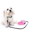 Otomatik Uzayan Köpek Tasması 3 METRE