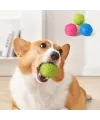 Pati Desenli Dayanıklı Köpek Isırma Topu