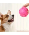 Pati Desenli Dayanıklı Köpek Isırma Topu