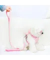 Peluş Ayıcıklı Göğüs Gezdirme Tasması Seti