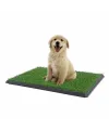 Pet Park Mini Yavru Köpek Tuvalet ve Eğitim Çiti