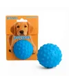 PetZoom Dikenli Köpek Oyun Topu