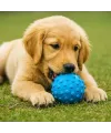 PetZoom Dikenli Köpek Oyun Topu