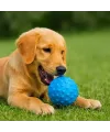 PetZoom Mavi Dikenli Köpek Oyun Topu