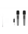 Profesyonel Kablosuz Uhf 2 Mikrofonlu Set 6.35 Mm - Gri HDX2791G