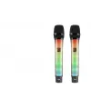 Profesyonel Kablosuz Uhf 2 Mikrofonlu Set Rgb - Siyah WX-82